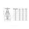 Задвижка клиновая сталь 30лс41нжХЛ Ду 200 Ру16 фл МЗТА