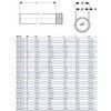 Труба PP-MD с раструбом бесшумная Silent-PP Дн 90х3,1 L=0,25м в/к Geberit 390.401.14.1 — 2